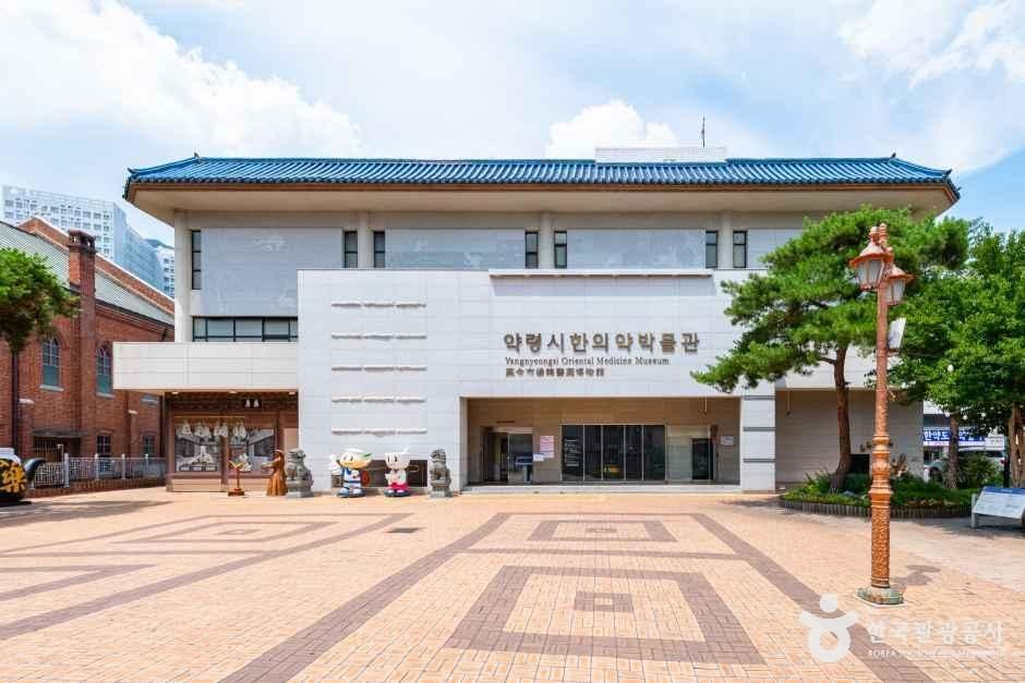 대구 약령시 한의약박물관 여행 추천 - 메고지고 대구 약령시 한의약박물관 여행 추천 - 메고지고
