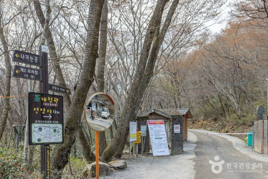선암사 [유네스코 세계유산] 여행 추천 - 메고지고