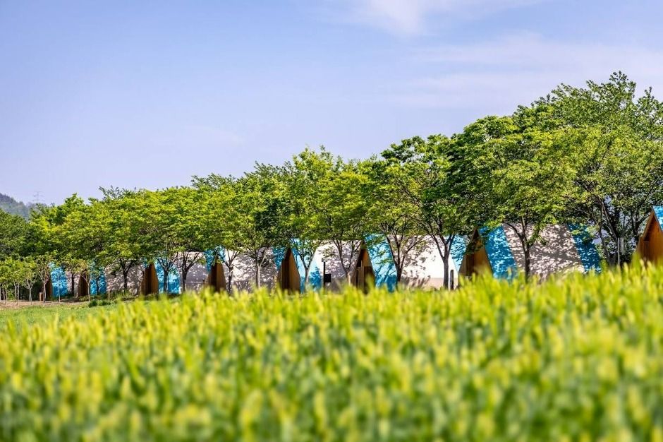 정원워케이션 여행 추천 - 메고지고 정원워케이션 여행 추천 - 메고지고
