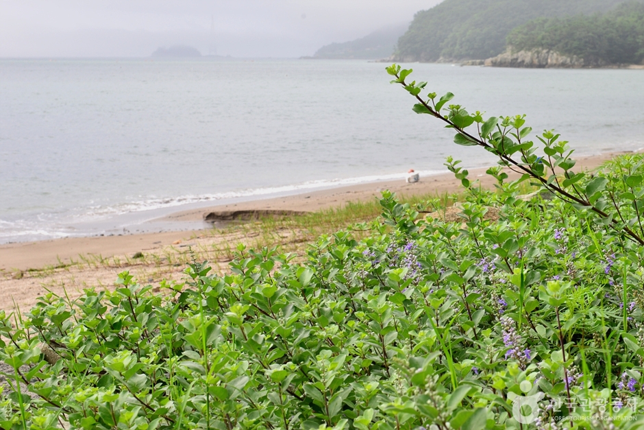 우두해변 여행 추천 - 메고지고 우두해변 여행 추천 - 메고지고