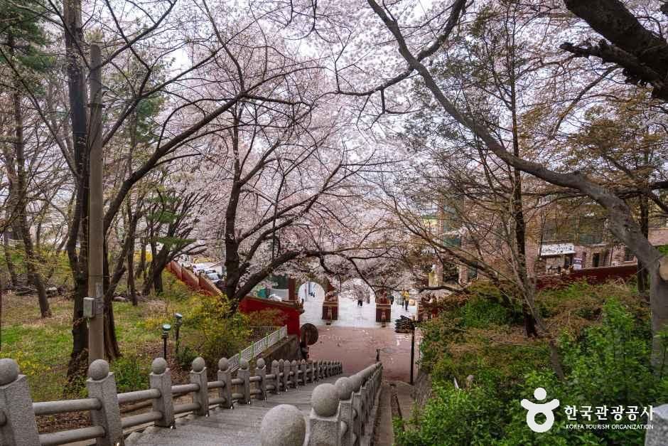 자유공원(인천) 여행 추천 - 메고지고 자유공원(인천) 여행 추천 - 메고지고