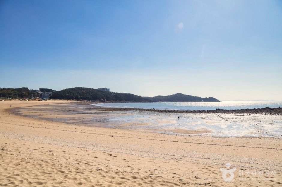 왕산해수욕장 여행 추천 - 메고지고 왕산해수욕장 여행 추천 - 메고지고