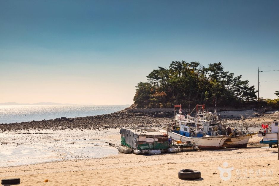 왕산해수욕장 여행 추천 - 메고지고 왕산해수욕장 여행 추천 - 메고지고