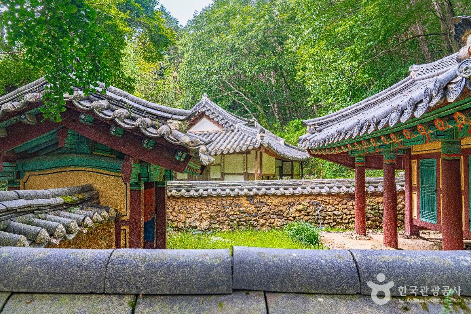 용진정사 여행 추천 - 메고지고 용진정사 여행 추천 - 메고지고
