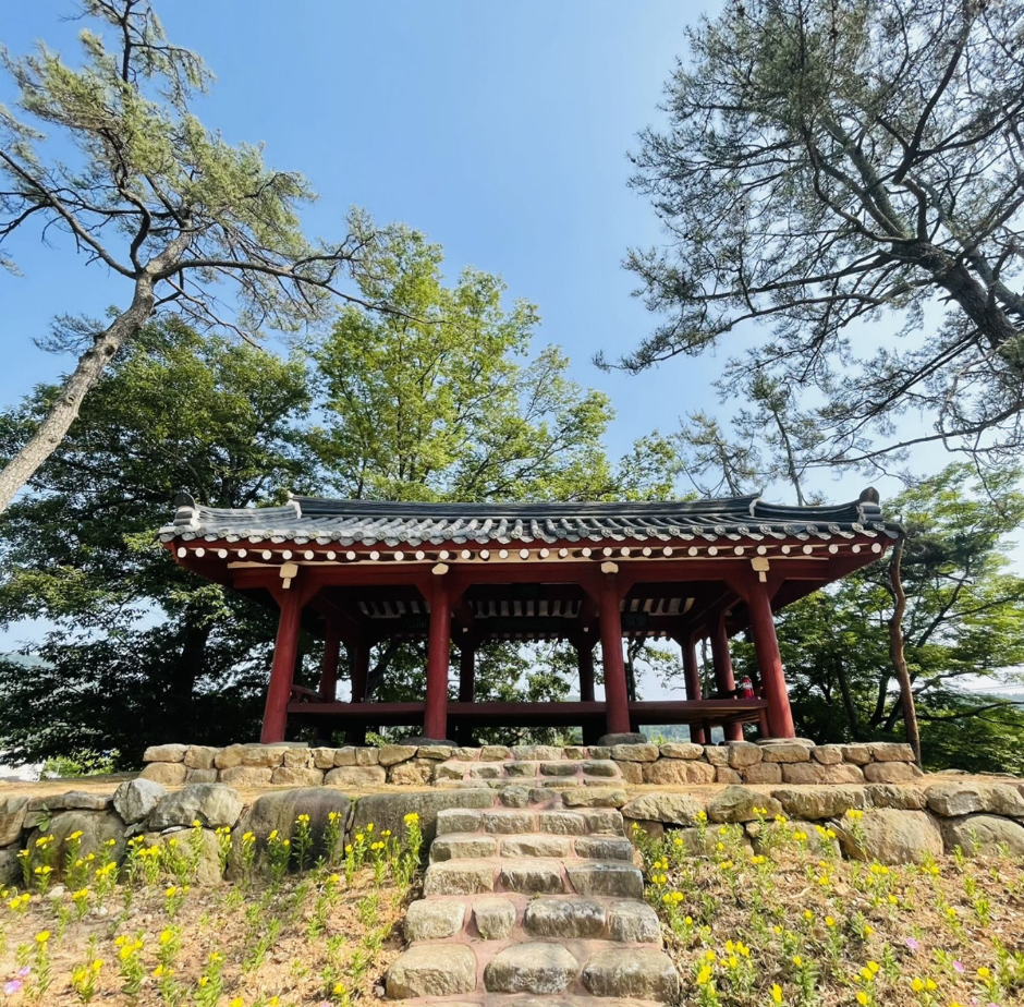 양과동정 여행 추천 - 메고지고 양과동정 여행 추천 - 메고지고