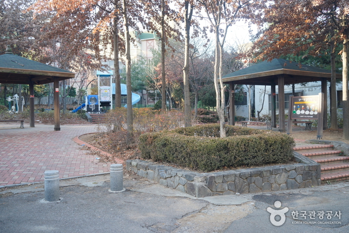인천 신현동 회화나무 여행 추천 - 메고지고 인천 신현동 회화나무 여행 추천 - 메고지고