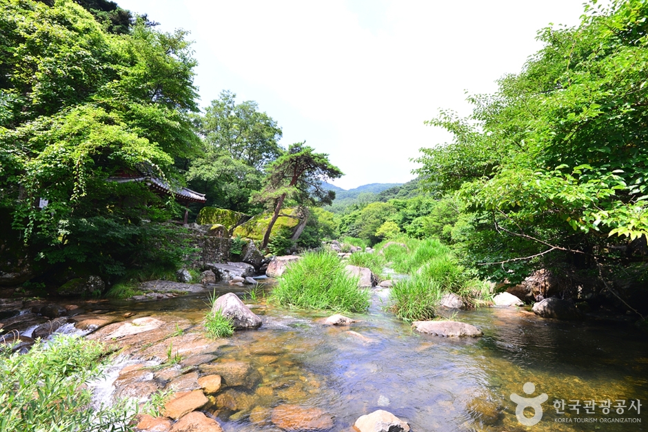 풍암정 여행 추천 - 메고지고