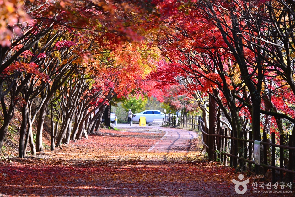 풍암정 여행 추천 - 메고지고