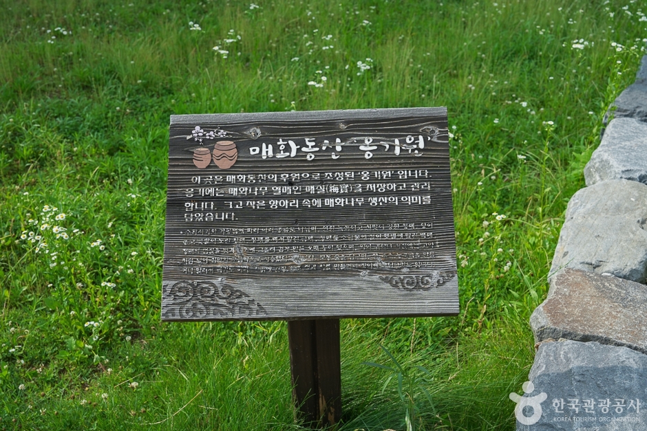 경인아라뱃길 매화동산 여행 추천 - 메고지고 경인아라뱃길 매화동산 여행 추천 - 메고지고