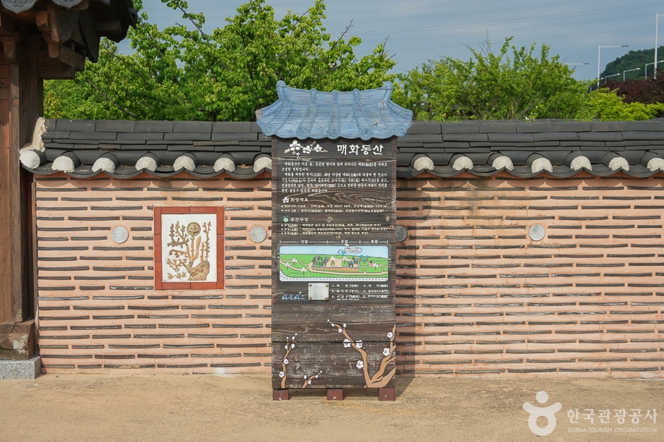 경인아라뱃길 매화동산 여행 추천 - 메고지고 경인아라뱃길 매화동산 여행 추천 - 메고지고