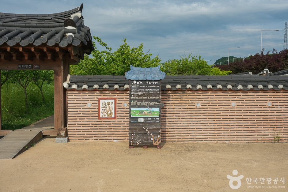 경인아라뱃길 매화동산 여행 추천 - 메고지고 경인아라뱃길 매화동산 여행 추천 - 메고지고