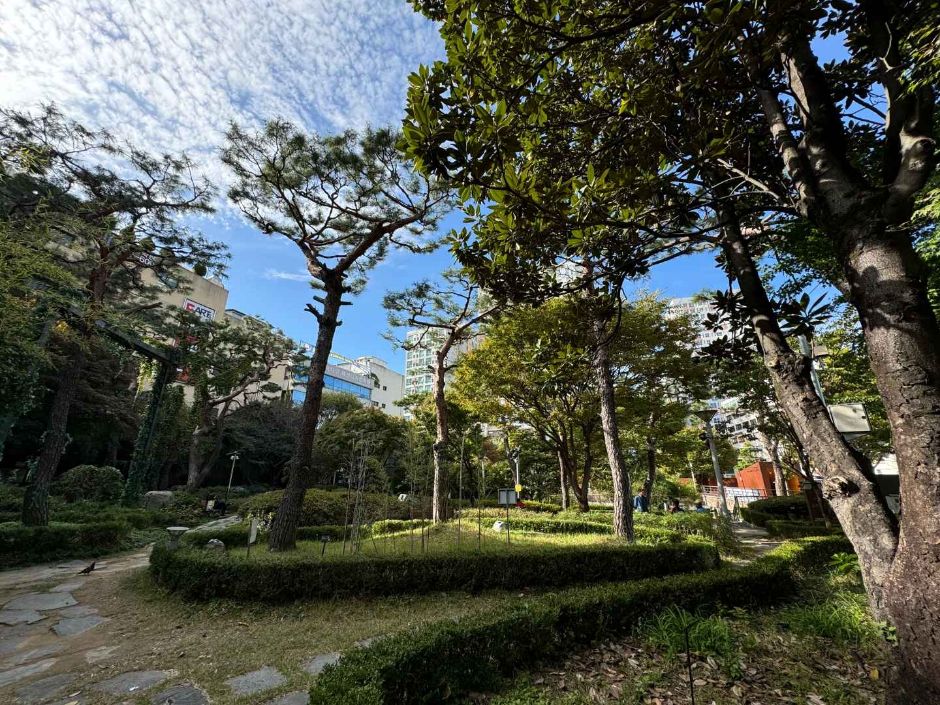 금남로공원 금남나비정원 여행 추천 - 메고지고 금남로공원 금남나비정원 여행 추천 - 메고지고