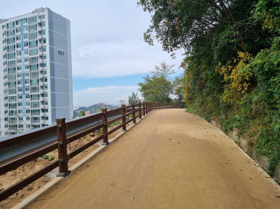 금당산 맨발로 여행 추천 - 메고지고 금당산 맨발로 여행 추천 - 메고지고