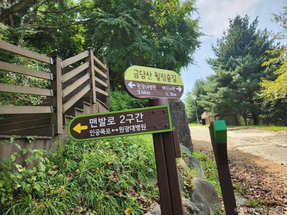 금당산 맨발로 여행 추천 - 메고지고 금당산 맨발로 여행 추천 - 메고지고