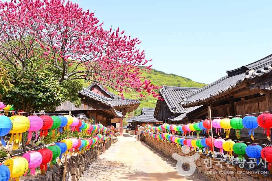 조계산도립공원 여행 추천 - 메고지고 조계산도립공원 여행 추천 - 메고지고