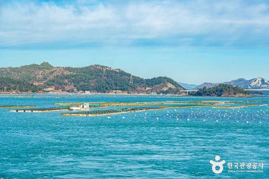 다도해 해상국립공원(완도) 여행 추천 - 메고지고 다도해 해상국립공원(완도) 여행 추천 - 메고지고