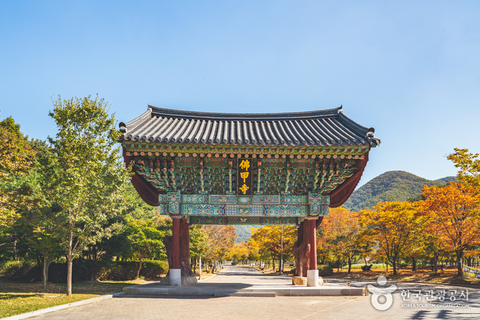 불갑산도립공원 여행 추천 - 메고지고