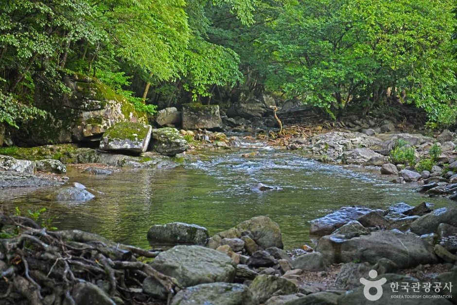 남창계곡 여행 추천 - 메고지고