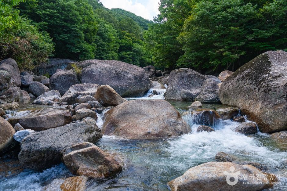 피아골계곡 여행 추천 - 메고지고