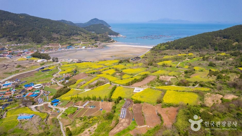 청산도 여행 추천 - 메고지고 청산도 여행 추천 - 메고지고