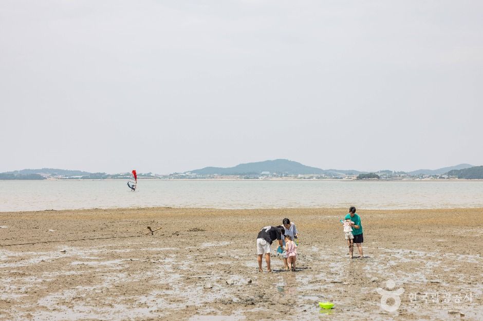 홀통유원지·홀통해변 여행 추천 - 메고지고 홀통유원지·홀통해변 여행 추천 - 메고지고