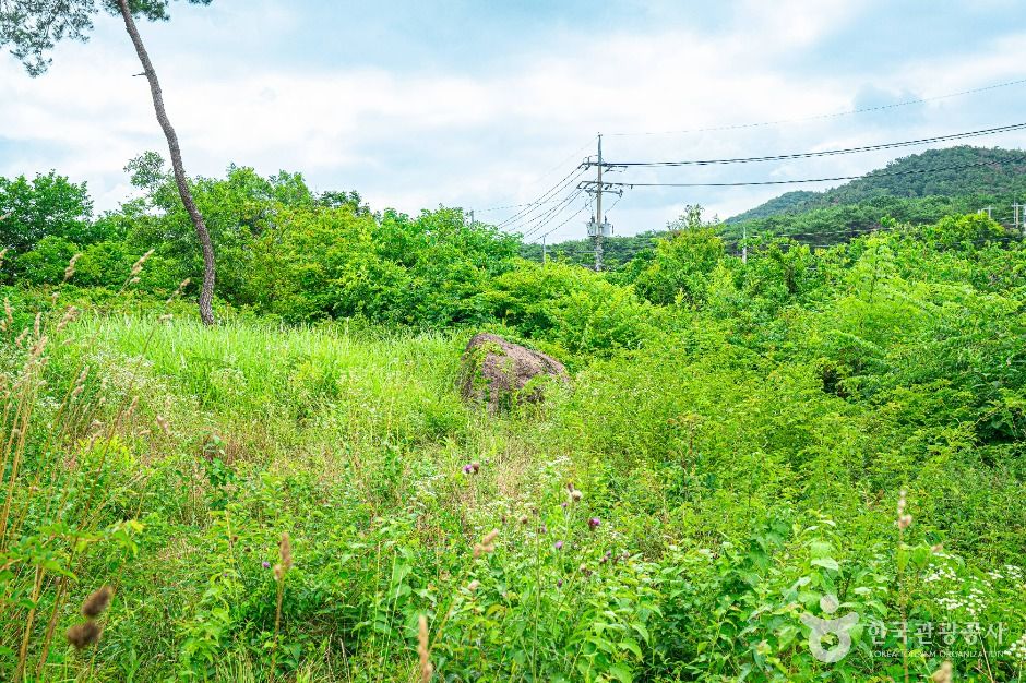 삼거동 고인돌 여행 추천 - 메고지고 삼거동 고인돌 여행 추천 - 메고지고