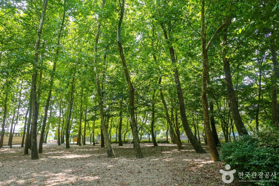 송산유원지 여행 추천 - 메고지고