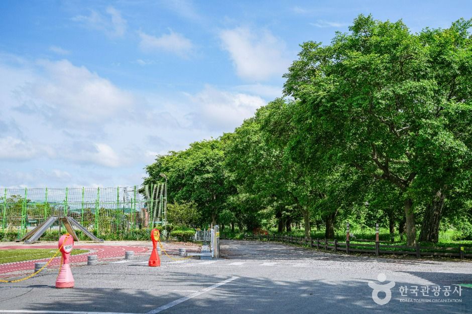 함평 향교리 느티나무·팽나무·개서어나무 숲 여행 추천 - 메고지고 함평 향교리 느티나무·팽나무·개서어나무 숲 여행 추천 - 메고지고