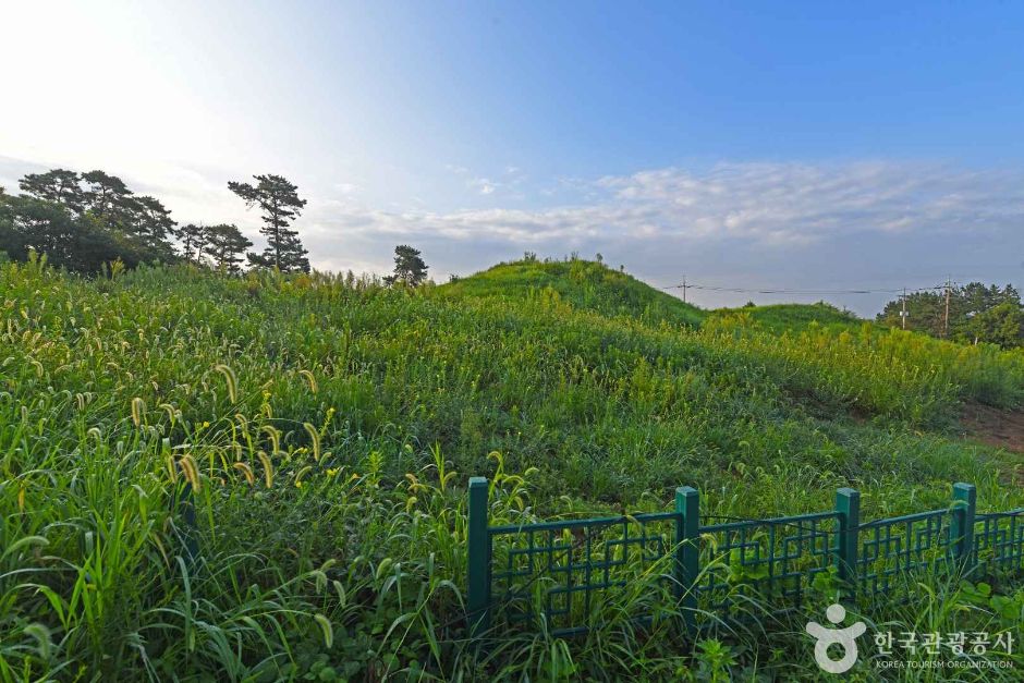 함평죽암리고분 여행 추천 - 메고지고 함평죽암리고분 여행 추천 - 메고지고