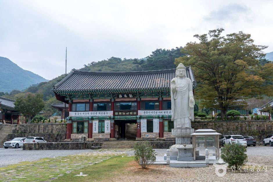 용흥사(담양) 여행 추천 - 메고지고 용흥사(담양) 여행 추천 - 메고지고