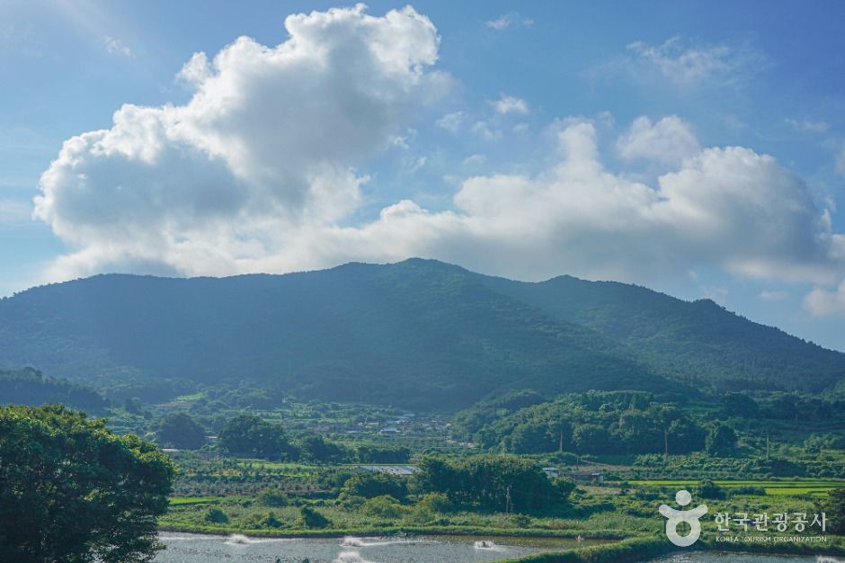 외나로도 여행 추천 - 메고지고 외나로도 여행 추천 - 메고지고