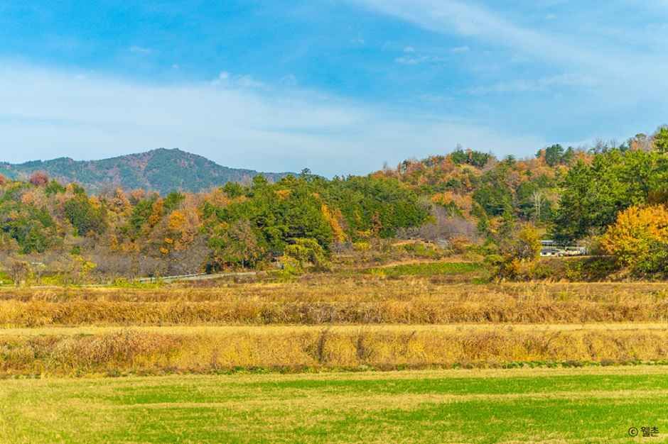 보성 강골마을 여행 추천 - 메고지고