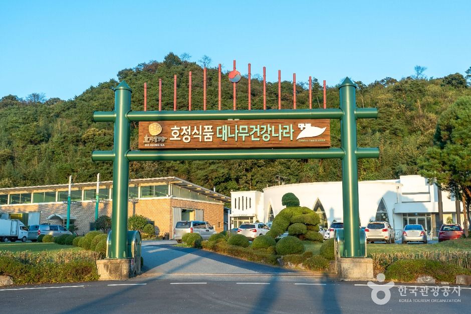 대나무 건강나라 여행 추천 - 메고지고 대나무 건강나라 여행 추천 - 메고지고