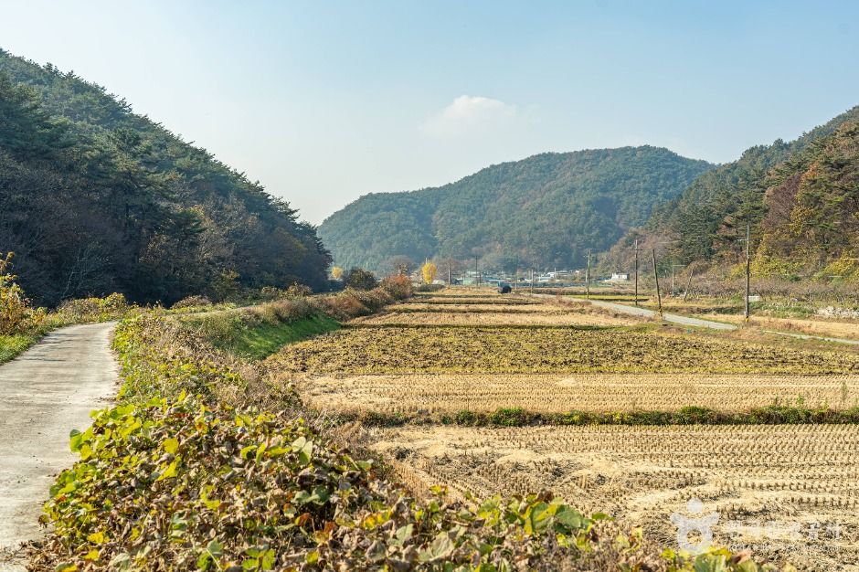 봉하산촌생태마을 여행 추천 - 메고지고 봉하산촌생태마을 여행 추천 - 메고지고