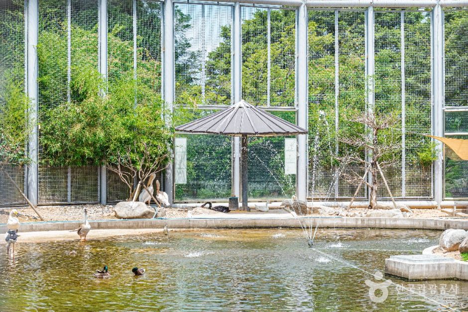 광주 우치공원 동물원 여행 추천 - 메고지고 광주 우치공원 동물원 여행 추천 - 메고지고