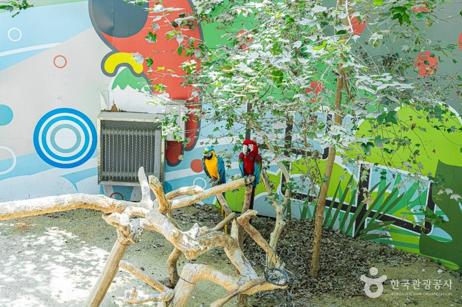 광주 우치공원 동물원 여행 추천 - 메고지고 광주 우치공원 동물원 여행 추천 - 메고지고