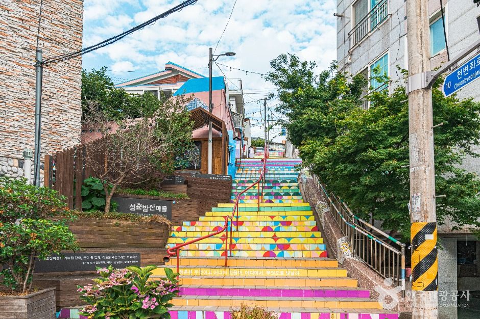 청춘발산마을 여행 추천 - 메고지고