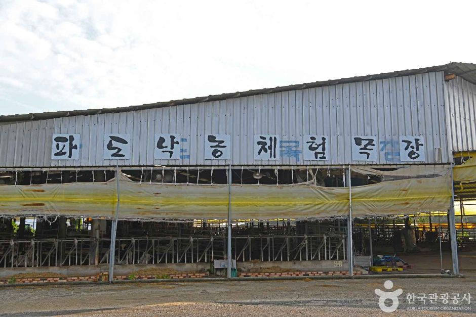 파도목장 여행 추천 - 메고지고 파도목장 여행 추천 - 메고지고