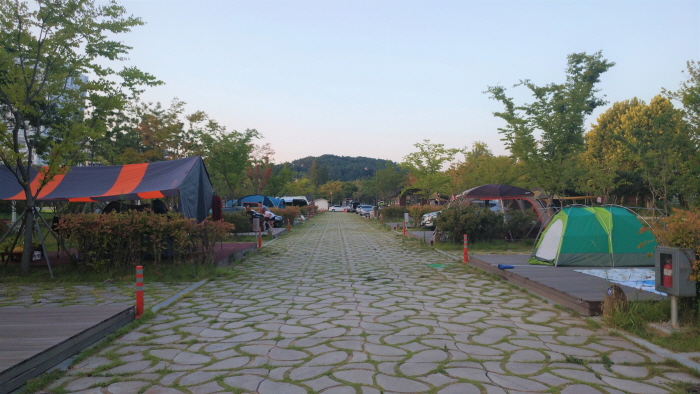 시민의 숲 야영장 여행 추천 - 메고지고 시민의 숲 야영장 여행 추천 - 메고지고