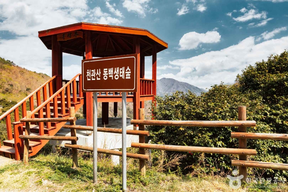 천관산동백생태숲 여행 추천 - 메고지고