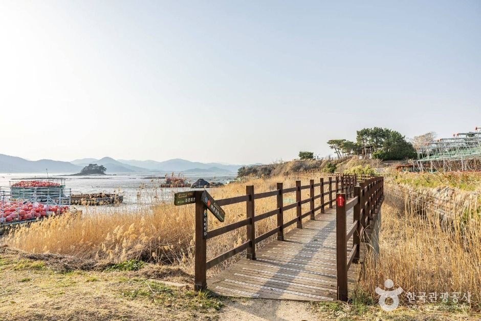 와온해변 여행 추천 - 메고지고 와온해변 여행 추천 - 메고지고
