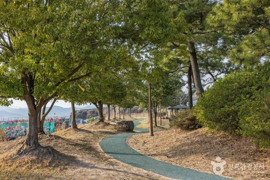 와온해변 여행 추천 - 메고지고 와온해변 여행 추천 - 메고지고