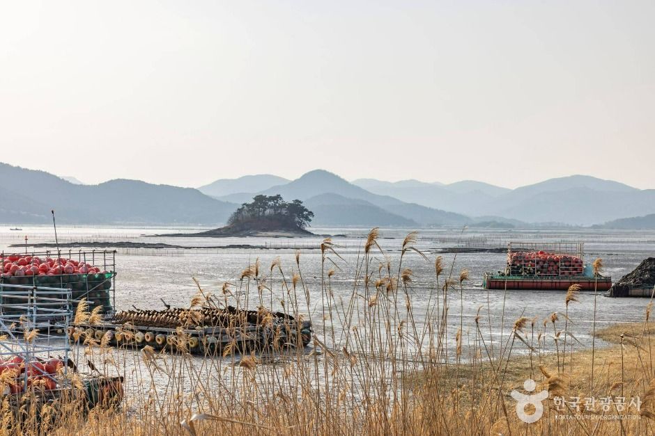 와온해변 여행 추천 - 메고지고 와온해변 여행 추천 - 메고지고