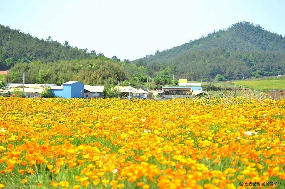 선도 여행 추천 - 메고지고 선도 여행 추천 - 메고지고