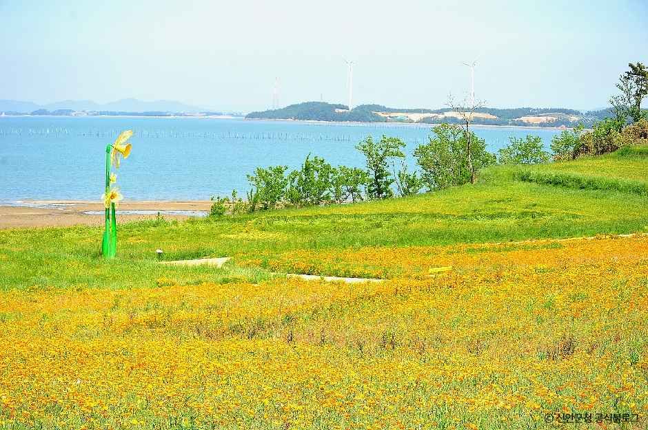 선도 여행 추천 - 메고지고 선도 여행 추천 - 메고지고