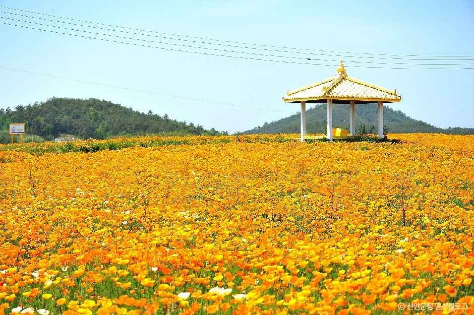 선도 여행 추천 - 메고지고 선도 여행 추천 - 메고지고