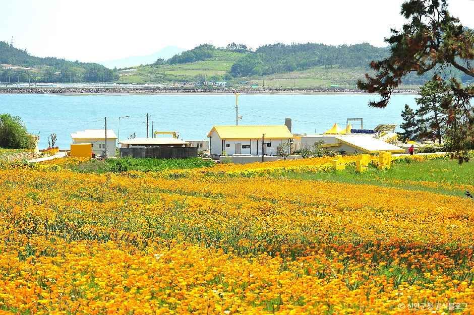 선도 여행 추천 - 메고지고 선도 여행 추천 - 메고지고