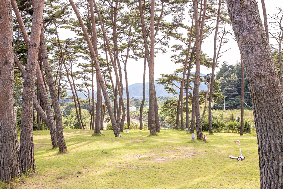 솔내음물댄동산 여행 추천 - 메고지고