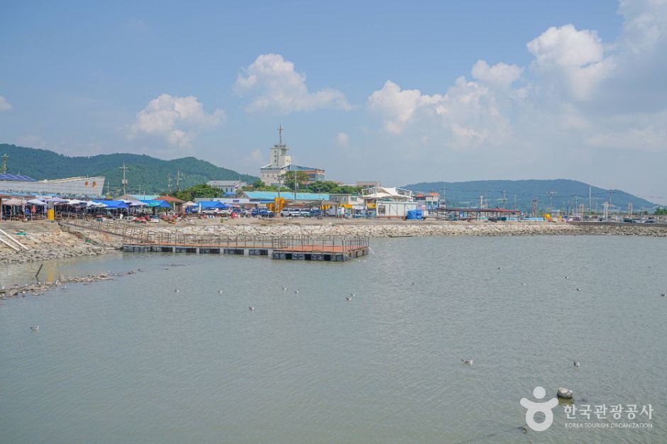 설도항 여행 추천 - 메고지고 설도항 여행 추천 - 메고지고