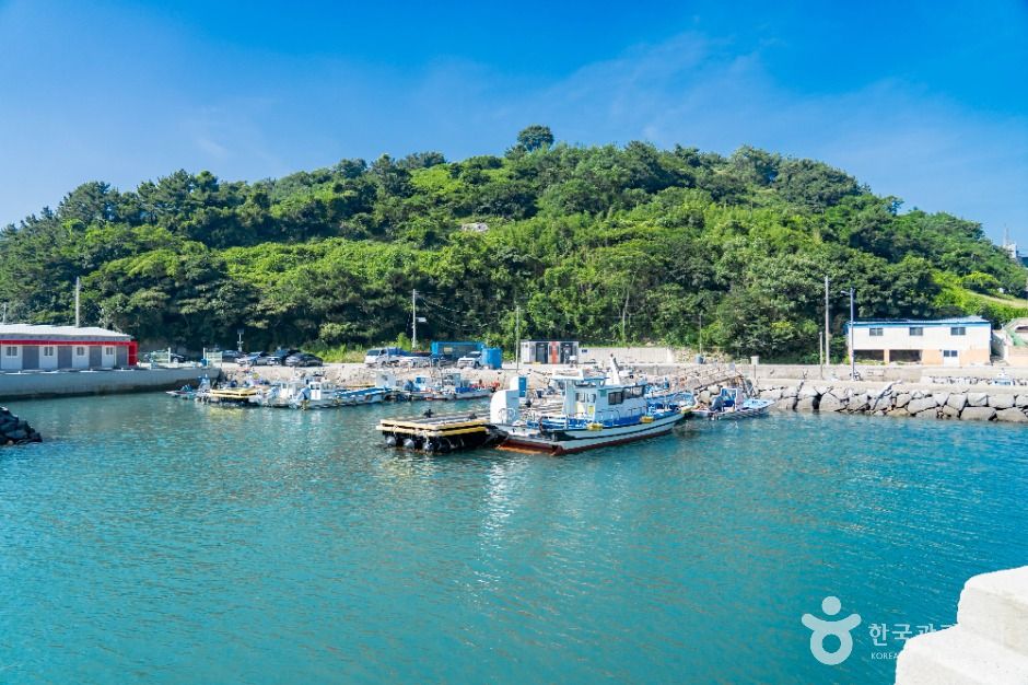 독정항 여행 추천 - 메고지고 독정항 여행 추천 - 메고지고